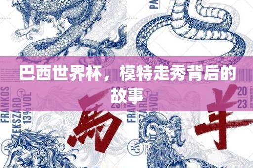 巴西世界杯，模特走秀背后的故事