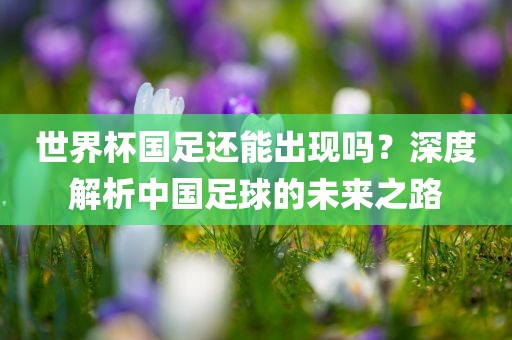 世界杯国足还能出现吗？深度解析中国足球的未来之路