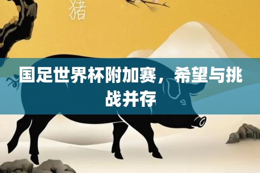 国足世界杯附加赛，希望与挑战并存
