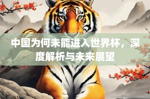 中国为何未能进入世界杯，深度解析与未来展望