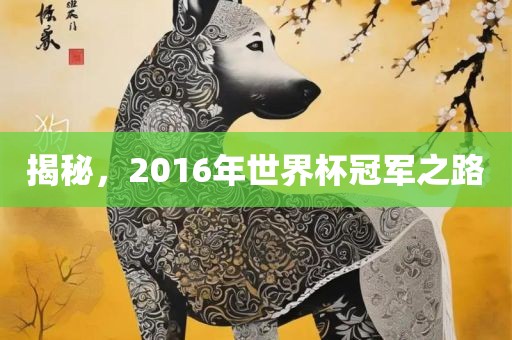 揭秘，2016年世界杯冠军之路