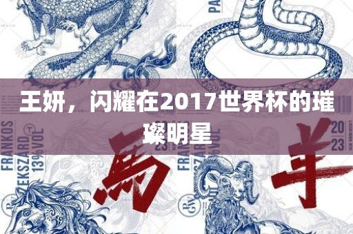 王妍，闪耀在2017世界杯的璀璨明星