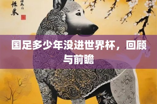国足多少年没进世界杯，回顾与前瞻