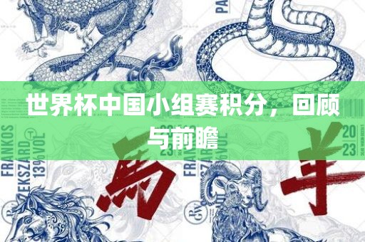 世界杯中国小组赛积分，回顾与前瞻