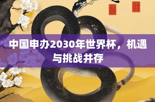中国申办2030年世界杯，机遇与挑战并存