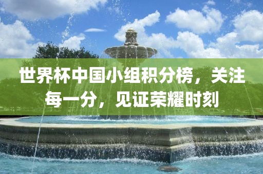 世界杯中国小组积分榜，关注每一分，见证荣耀时刻