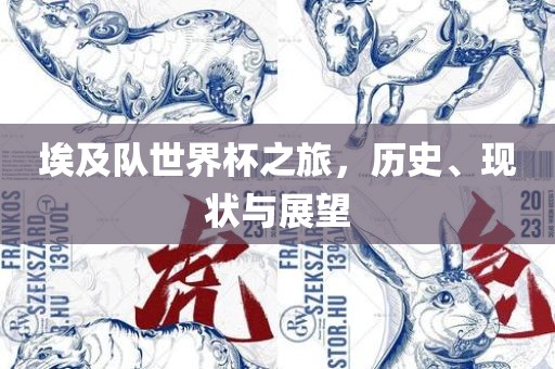 埃及队世界杯之旅，历史、现状与展望
