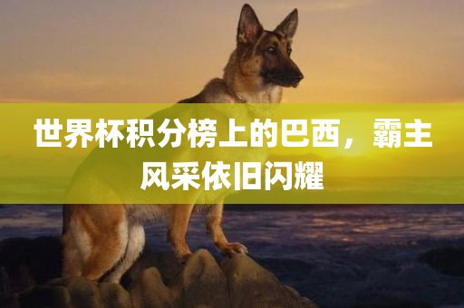 世界杯积分榜上的巴西，霸主风采依旧闪耀