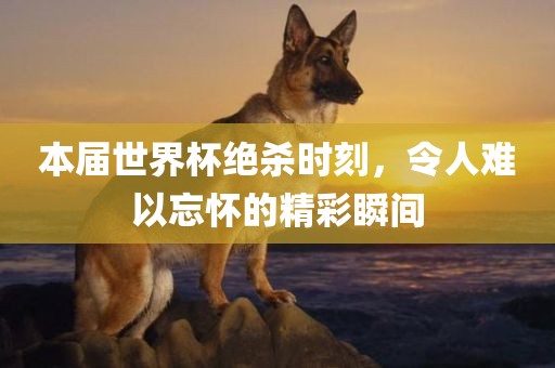 本届世界杯绝杀时刻，令人难以忘怀的精彩瞬间