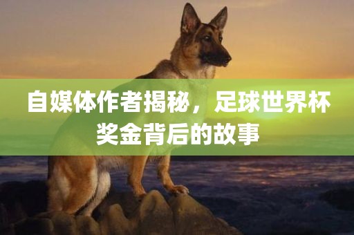 自媒体作者揭秘，足球世界杯奖金背后的故事