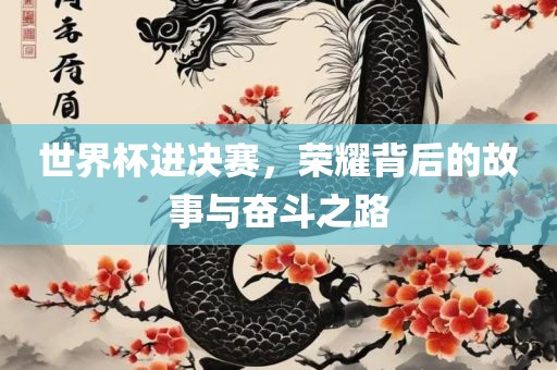 世界杯进决赛，荣耀背后的故事与奋斗之路