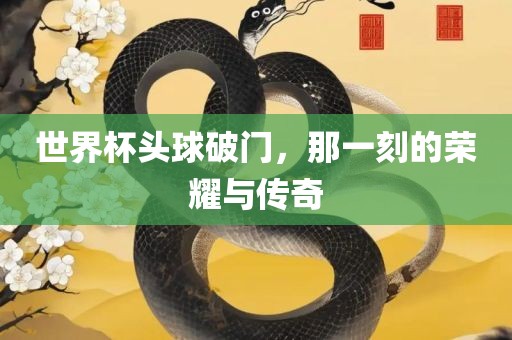 世界杯头球破门，那一刻的荣耀与传奇