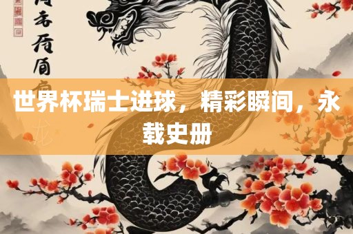 世界杯瑞士进球，精彩瞬间，永载史册
