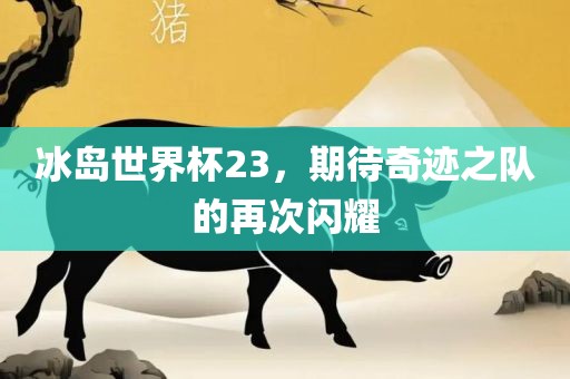 冰岛世界杯23，期待奇迹之队的再次闪耀