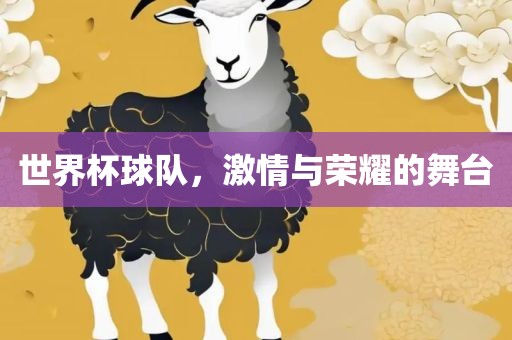 世界杯球队，激情与荣耀的舞台