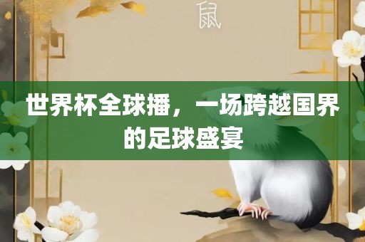 世界杯全球播，一场跨越国界的足球盛宴