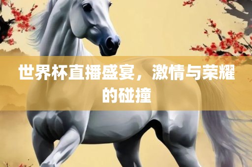 世界杯直播盛宴，激情与荣耀的碰撞