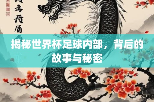 揭秘世界杯足球内部，背后的故事与秘密