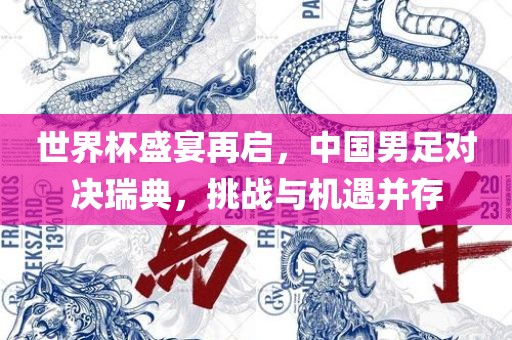 世界杯盛宴再启，中国男足对决瑞典，挑战与机遇并存