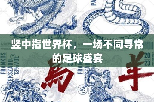 竖中指世界杯，一场不同寻常的足球盛宴