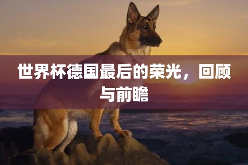 世界杯德国最后的荣光，回顾与前瞻