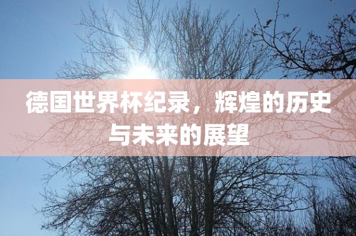 德国世界杯纪录，辉煌的历史与未来的展望