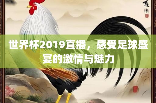 世界杯2019直播，感受足球盛宴的激情与魅力