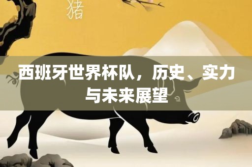 西班牙世界杯队，历史、实力与未来展望