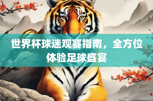 世界杯球迷观赛指南，全方位体验足球盛宴