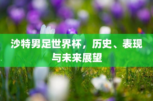 沙特男足世界杯，历史、表现与未来展望