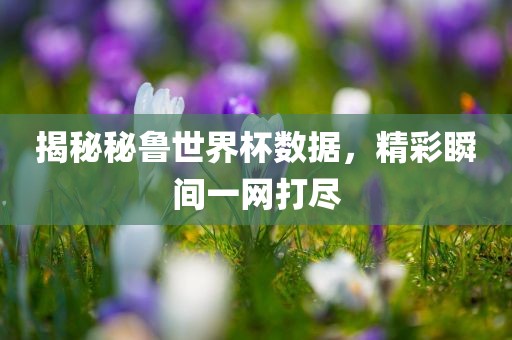 揭秘秘鲁世界杯数据，精彩瞬间一网打尽