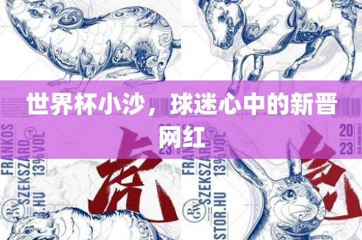 世界杯小沙，球迷心中的新晋网红