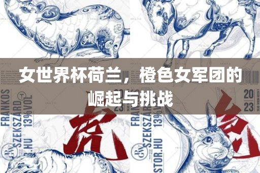 女世界杯荷兰，橙色女军团的崛起与挑战