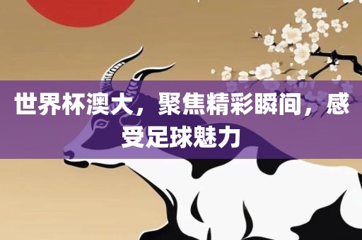 世界杯澳大，聚焦精彩瞬间，感受足球魅力