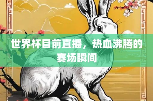 世界杯目前直播，热血沸腾的赛场瞬间