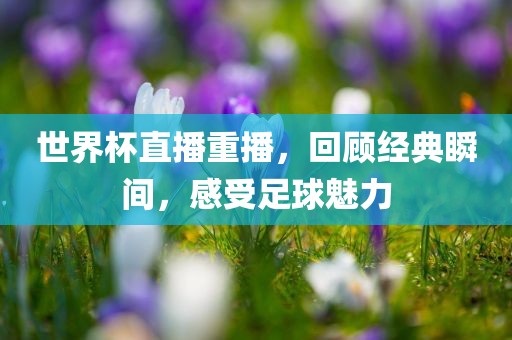 世界杯直播重播，回顾经典瞬间，感受足球魅力