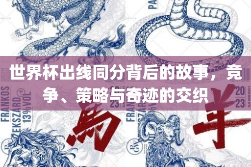 世界杯出线同分背后的故事，竞争、策略与奇迹的交织