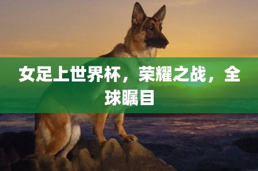 女足上世界杯，荣耀之战，全球瞩目