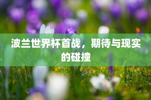 波兰世界杯首战，期待与现实的碰撞