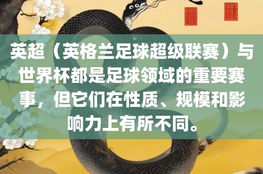 英超（英格兰足球超级联赛）与世界杯都是足球领域的重要赛事，但它们在性质、规模和影响力上有所不同。