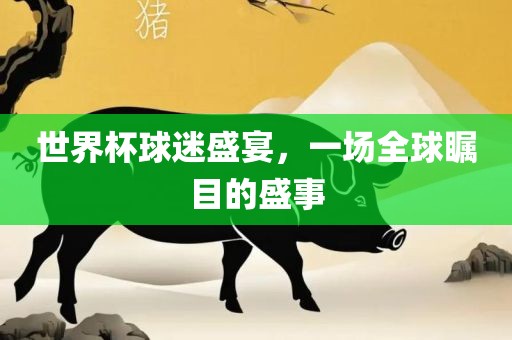 世界杯球迷盛宴，一场全球瞩目的盛事